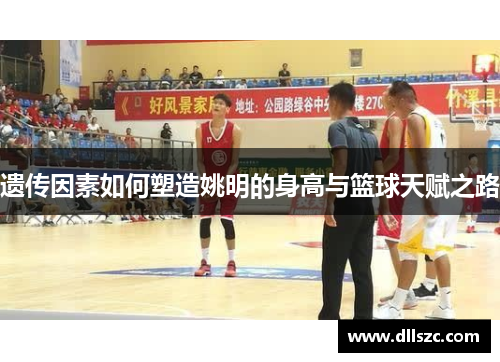 遗传因素如何塑造姚明的身高与篮球天赋之路