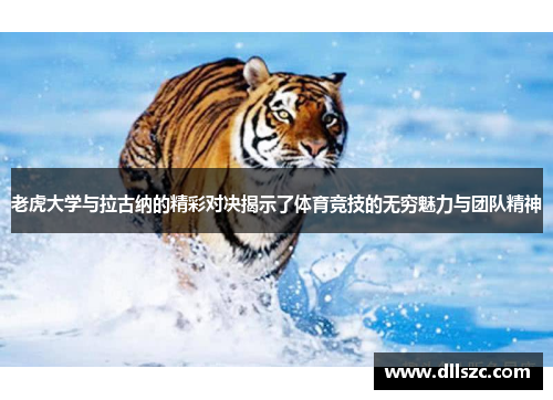 老虎大学与拉古纳的精彩对决揭示了体育竞技的无穷魅力与团队精神